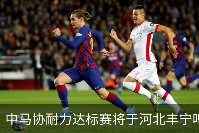 中马协耐力达标赛将于河北丰宁鸣枪 数十家专业马术俱乐部角逐