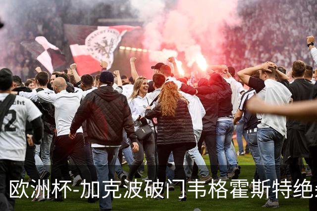 欧洲杯-加克波破门韦格霍斯特绝杀 荷兰2-1波兰