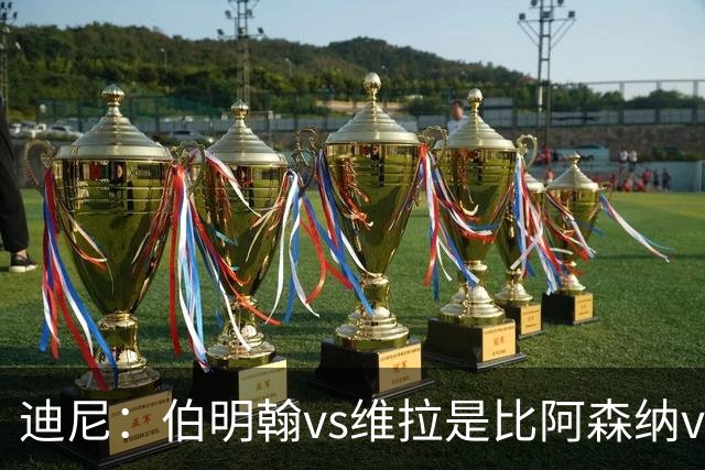 迪尼：伯明翰vs维拉是比阿森纳vs热刺更大的德比